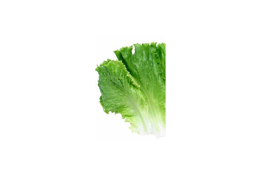 SUPPLEMENT SALADE VERTE (NEMS)